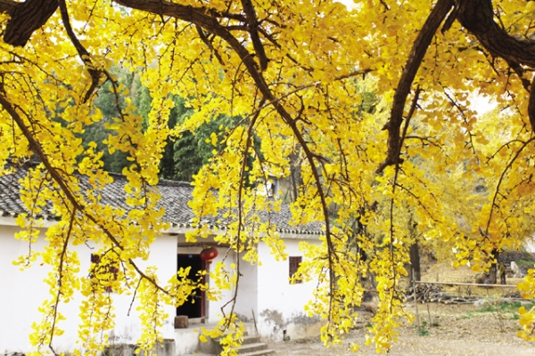 �����^(q��)����(zh��n)ǧ���y�ӹ�