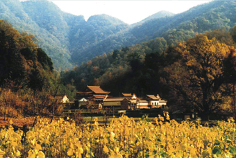 �S�ݴ��ɽ���Ҽ��L(f��ng)�����م^(q��)