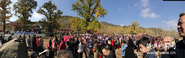 �y�Ә��£��������y�ӹȡ����ｻ��������e��