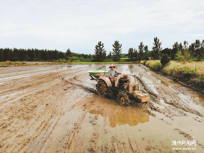 �S�ݴ��조�㵾���^�򹫹�Ʒ��