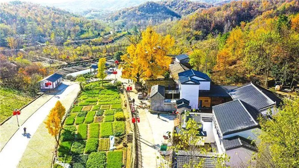 �ݵ�悽��ɽ�壺��һ�s�ĕ����@��Ч ���L���������Ҹ���