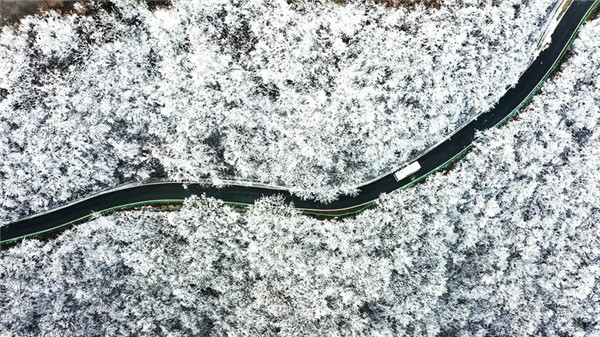 ���ɽ�F������