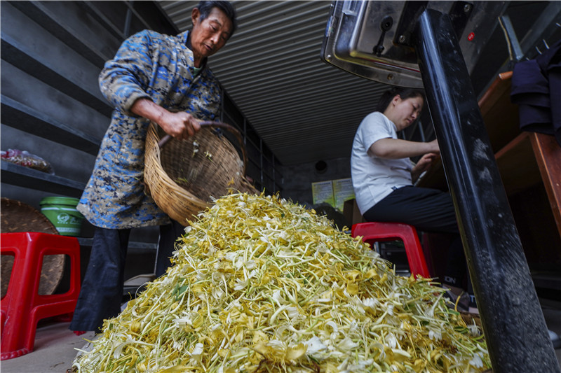 �ؘ䞳����y���،������¸�·