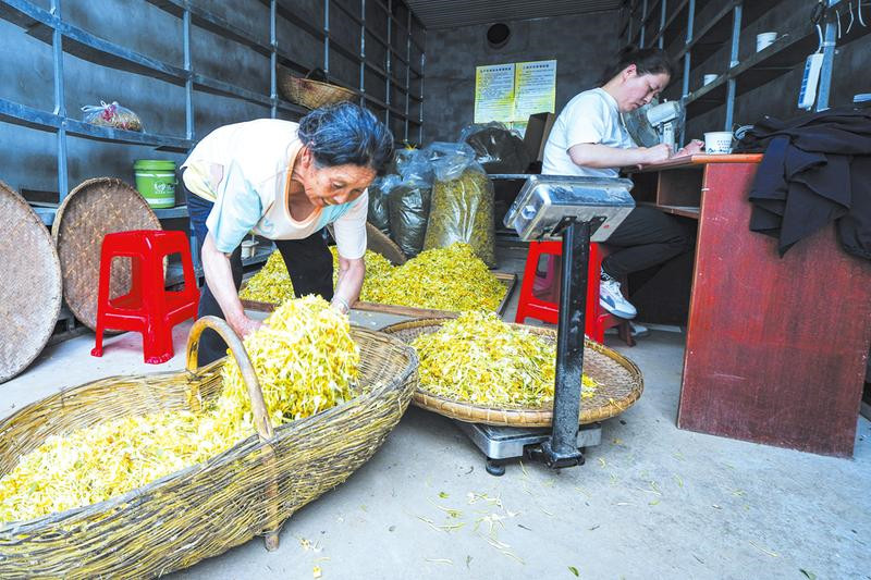 �ؘ䞳����y���Nֲ����