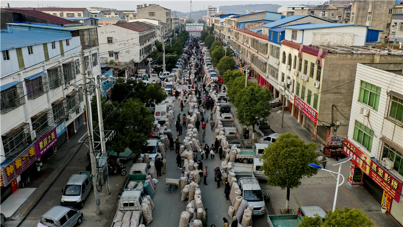 �����|���lչ����С��S�ݣ�1�|���㹽�˄�12�|�aֵ