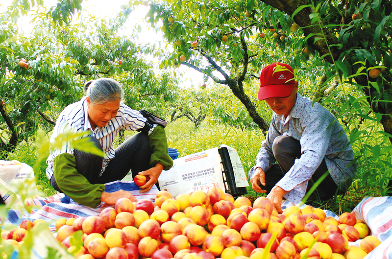 �����|���lչ����С��ƿh���ɫˮ���a�I��aֵ��10�|Ԫ