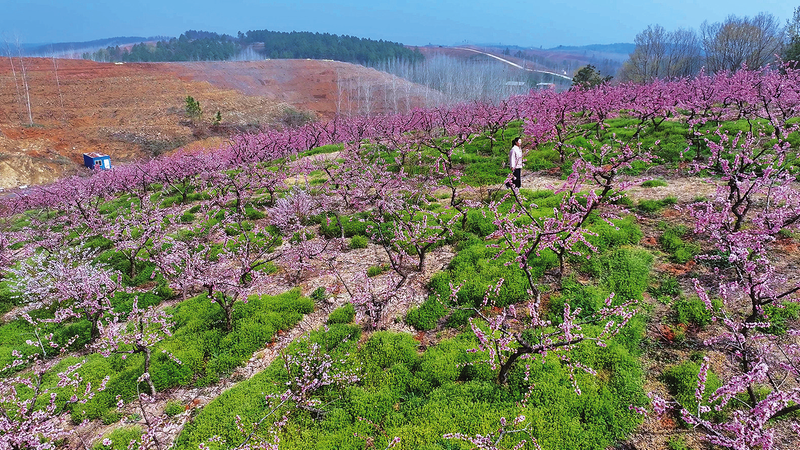 ���l���С��S�h��̶悰ؘ䞳�弤���l���YԴ�L�����d�D��