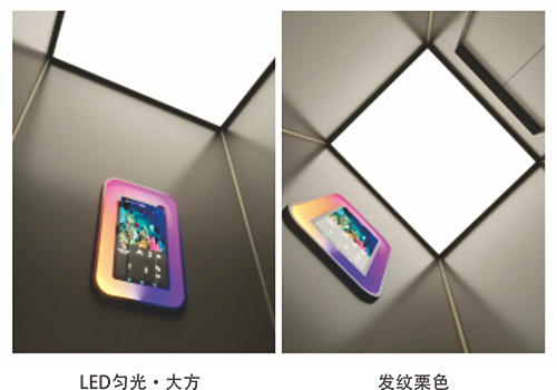 遇見(jiàn)栗色-2